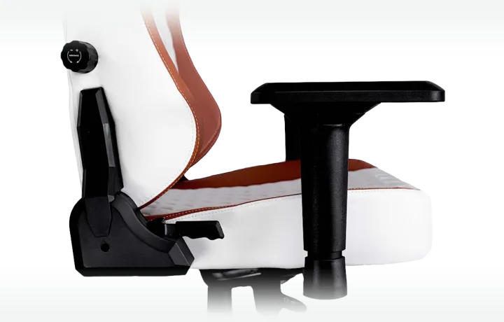 DEV1S