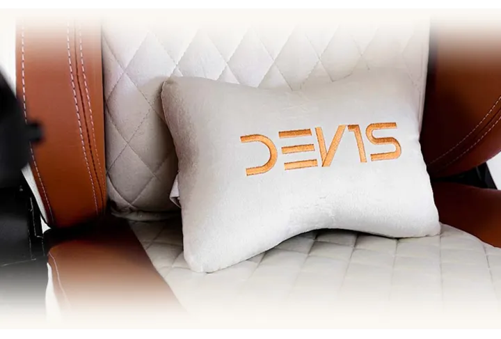 DEV1S